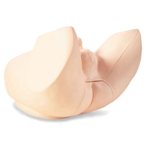 Trainingssimulator - M53B - Kyoto Kagaku  - für Palpationen / für Prostatauntersuchung / für Allgemeinpflege
