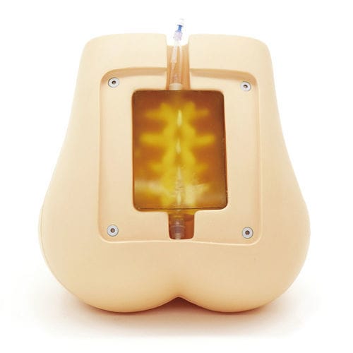 Simulator für Epiduralanästhesie - M43E - Kyoto Kagaku  - Ausbildung / für Punktionen / für Allgemeinpflege