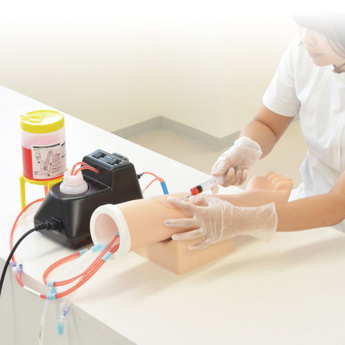 Injektionssimulator für intravenöse Injektionen - MW49 - Kyoto Kagaku  - Ausbildung / für Blutabnahmen / für Palpationen
