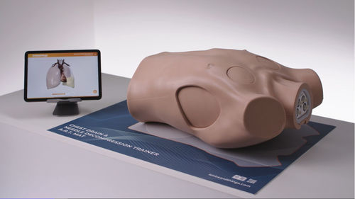 Simulator für Thoraxdrainage - 60230 - Limbs & Things - Ausbildung / chirurgisch / Pneumothorax