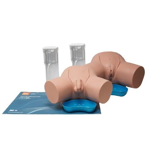 Simulator für Blasenkatheterisierung - 60854 - Limbs & Things - Ausbildung / Anatomie / für Allgemeinpflege