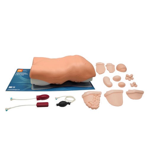Simulator für Auskultation - 60000 - Limbs & Things - für Palpationen / für Bauchwunden / Anatomie