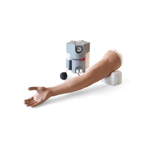 Simulator für Venenpunktion - 70300 - Limbs & Things - für intravenöse Injektion / Infusion / Ausbildung