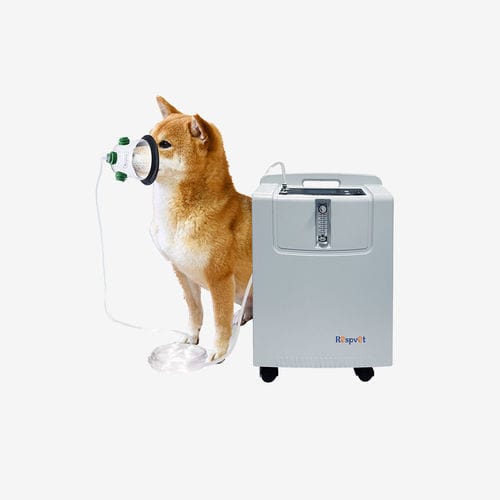 Sauerstoffkonzentrator für Veterinärmedizin - NW-5KW - Longfian Scitech Co., Ltd - auf Rollen / PSA / Multifunktion