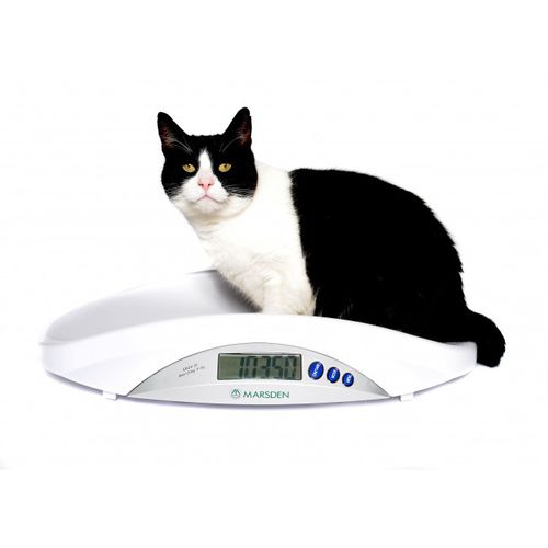 Elektronische Veterinärwaage - V-22 - Marsden Weighing Machine Group - für Kleintiere / Plattform / tragbar
