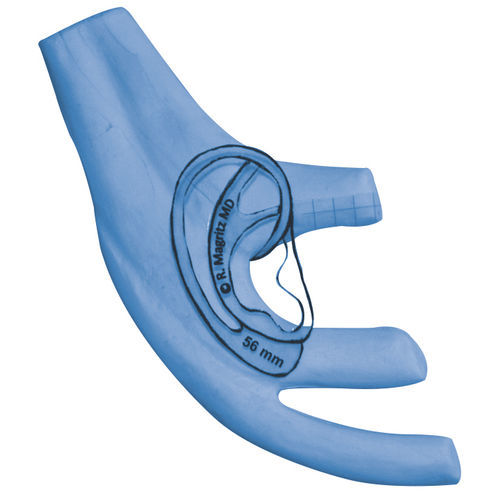 Anatomisches Modell / Ohr - Medicon eG - für plastische Chirurgie / Ausbildung / blau