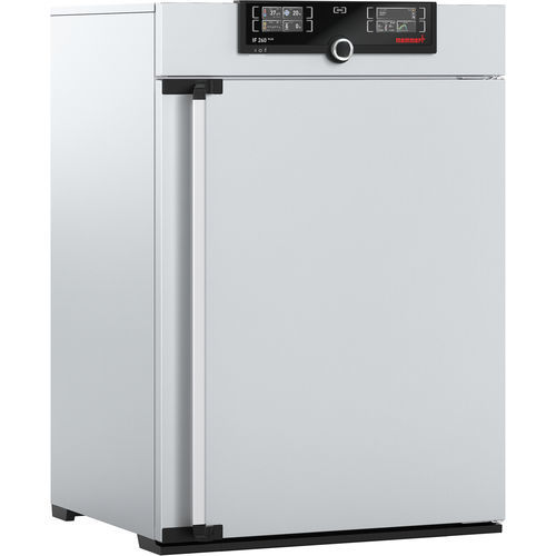 Labor-Inkubator / forcierter Luftstrom - IF260mplus - Memmert GmbH + Co. KG - medizinisch / Tisch / Edelstahl