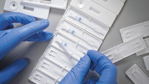 Lateral-Flow-Testkit - ReliaFlow™ - Ahlstrom-Munksjö - für Infektionskrankheiten / Schwangerschaft / für Umweltanalyse