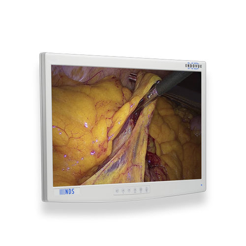 Medizinisch Monitor - EndoVue®  - NDS Surgical Imaging - für medizinische Bildgebung / für Endoskopie / OP