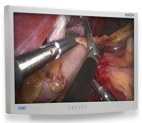 Medizinischer Monitor - EndoVue®  - NDS Surgical Imaging - für medizinische Bildgebung / für Endoskopie / hochauflösend
