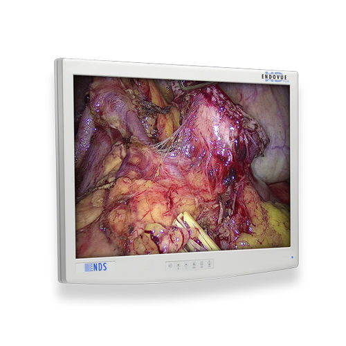 Medizinisch Monitor - EndoVue Plus - NDS Surgical Imaging - für Endoskopie / hochauflösend / 24"