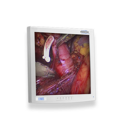 Medizinisch Monitor - EndoVue®Plus - NDS Surgical Imaging - für Endoskopie / OP / hochauflösend
