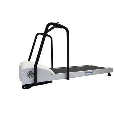 Laufband-Ergometer / mit Geländer - TM8 - NORAV Medical - für Erwachsene