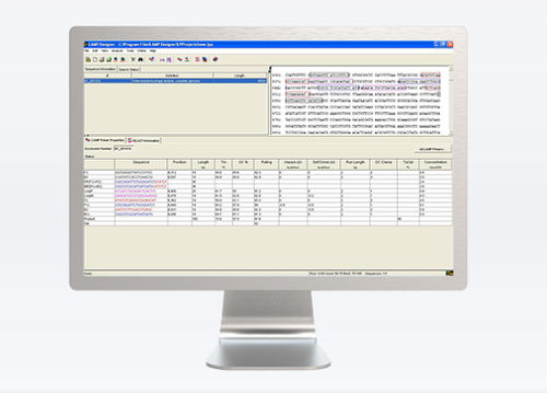 Projektentwicklungssoftware - LD1 - Vittoriobasurto - Content-Sharing / Wiedergabe / medizinisch