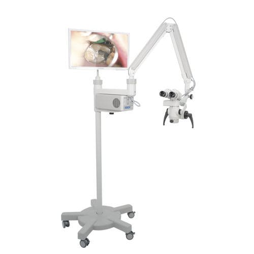 Dental-Operationsmikroskop - OP-Dent-5 - OPTOMIC - wandmontiert / deckenmontiert / bodenstehend