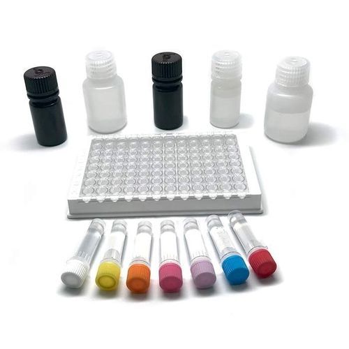 Nahrungsmittelintoleranz-Testkit - FOOD-1013-02F - PerkinElmer - für die Lebensmittelsicherheit / ELISA / für enzymatische Immunanalyse