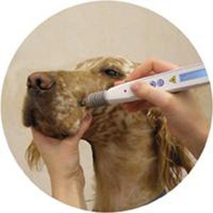 Veterinärlaser für tierärztliche Photostimulation - RJ-LASER - Reimers & Janssen - für Veterinärakupunktur / Dioden / Tischgerät