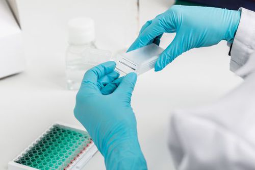 Objektträger für Mikroskop - sciCHIP Amino - Scienion AG