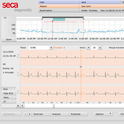 Medizinische Software - 4900055 - seca - für EKG / für Langzeit-EKG / Bewertung