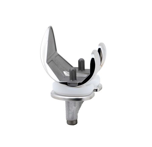 Femur-Patella Knieprothese - UC MADISON  - SERF - mit mobiler Scheibe