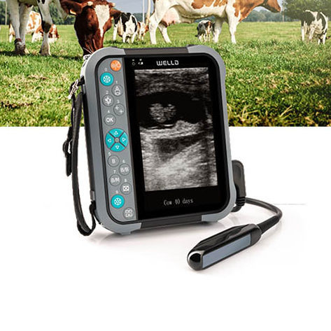 Tragbares Tierärztliches Ultraschallsystem - M5V - Shenzhen Well.D Medical Electronics - Multifunktion / Schwarz-Weiß