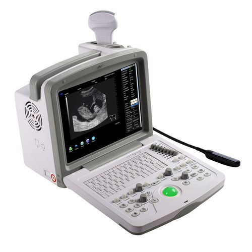 Tragbares Tierärztliches Ultraschallsystem - WED-160V - Shenzhen Well.D Medical Electronics - Multifunktion / für Pferde / für Schweine