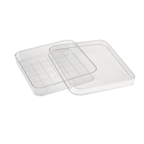 Quadratische Petrischale - D210-16 - Simport Scientific - Polystyrol / Netzteilung