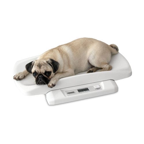 Elektronische Veterinärwaage - 8352 - Soehnle Industrial Solutions - für Kleintiere / mit LCD-Display / Tisch