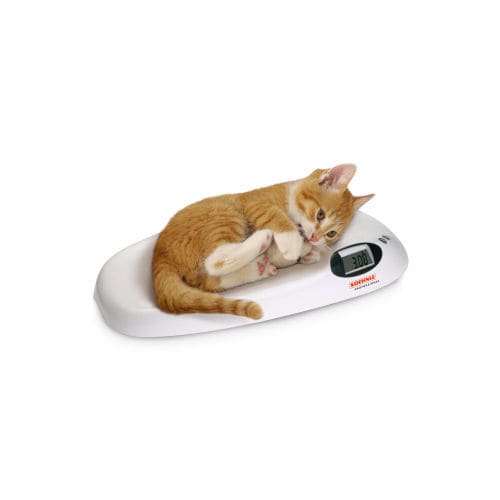 Elektronische Veterinärwaage - Home - Soehnle Industrial Solutions - für Kleintiere / mit LCD-Display / Tisch