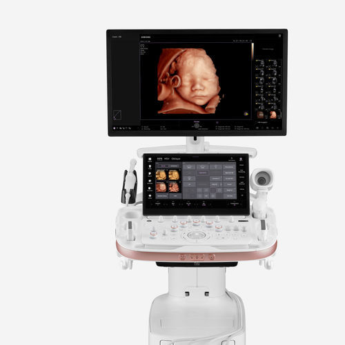 Plattformmontiertes Ultraschallgerät - HERA Z20 - Samsung Healthcare Germany - für Ultraschalldiagnostik in Gynäkologie und Geburtshilfe / Schwarz-Weiß / Farbdoppler