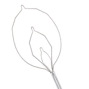 Fangkörbchen zur Extraktion von Darmpolypen - LARIAT™ - STERIS - gerade