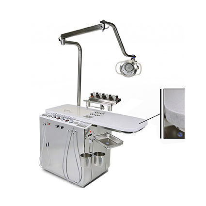 HNO-Arbeitsstation - SN-803 - Sturdy Industrial  - mit Licht / automatisch / Edelstahl