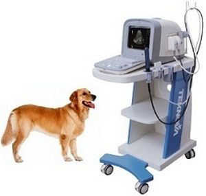 Plattformmontiertes Tierärztliches Ultraschallsystem - TH-100Vet - Teknova Medical Systems - Multifunktion