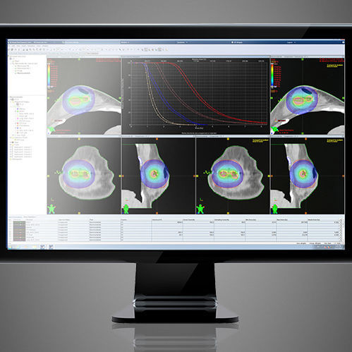 Behandlungsplanungssoftware - BrachyVision™ - Varian Oncology - Visualisierung / Beschaffung / Bewertung