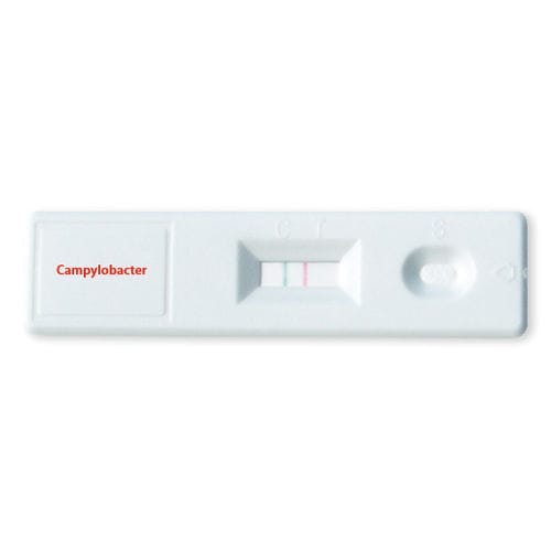 Schnelltest für Magen-Darm-Krankheiten - ODZ-160 - VIDIA s.r.o - Campylobacter jejuni / Fäkalien / immunochromatographisch