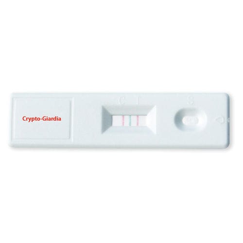 Schnelltest für Giardiasis - ODZ-055 - VIDIA s.r.o - Giardia lamblia / Cryptosporidium / Fäkalien