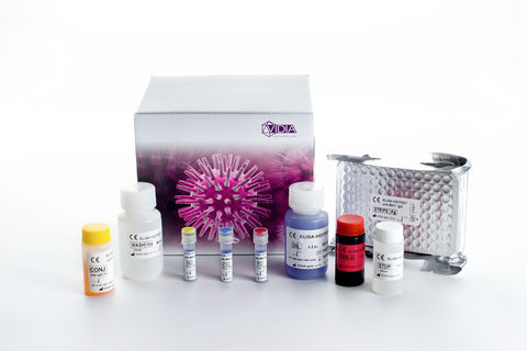 Testkit für Infektionskrankheiten - ODZ-405 - VIDIA s.r.o - Serologie / IgG / BK-Virus