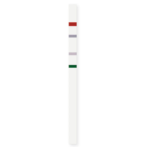 Teststreifen für Krebserkrankungen - BRAF 600/601 StripAssay® - ViennaLab Diagnostics  - Onkologie / Protein / BRAF-Mutationen