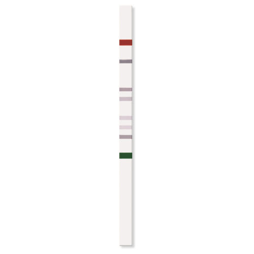Teststreifen für genetische Krankheiten - PGX-TPMT StripAssay® - ViennaLab Diagnostics  - TPMT / Gene / Blei