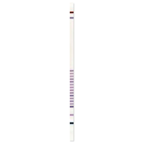 Teststreifen für zystische Fibrose - CF StripAssay® - ViennaLab Diagnostics  - für genetische Mutationen / für Kliniken / molekular