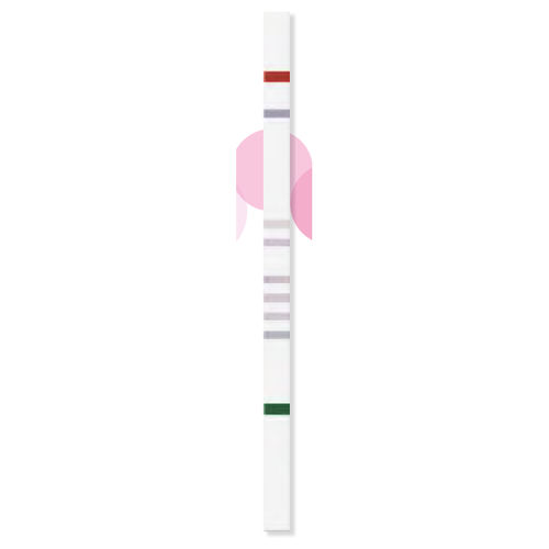 Teststreifen / Unverträglichkeit von Zucker -  StripAssay® - ViennaLab Diagnostics  - Aldolase / Gene / Fruktose