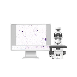 Automatisches Zell-Imaging-System - Vision Basic - West Medica - Labor / Diagnose / Sperma