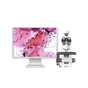Automatisches Zell-Imaging-System - 71150.05 - West Medica - Labor / Diagnose / für Mikrobiologie