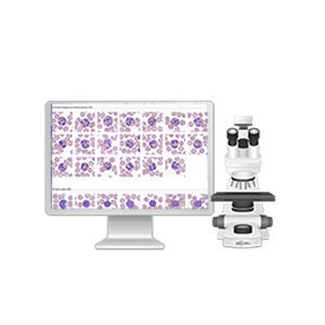 Automatisches Zell-Imaging-System - Vision Assist - West Medica - für Veterinärlabor / Diagnose