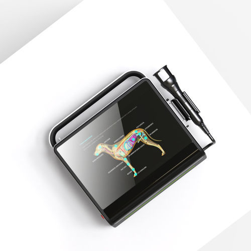 Veterinärlaser für tierärztliche Photostimulation - GBOX PRO - GIGAALASER - für Veterinärchirurgie / für tierärztliche Dentalchirurgie / für Veterinärakupunktur