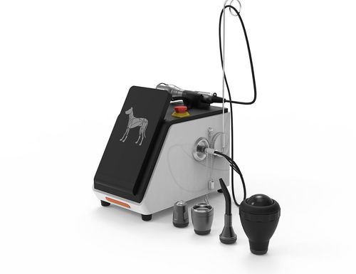 Biostimulationslaser für Veterinärmedizin / zur Rehabilitation - GIGAALASER