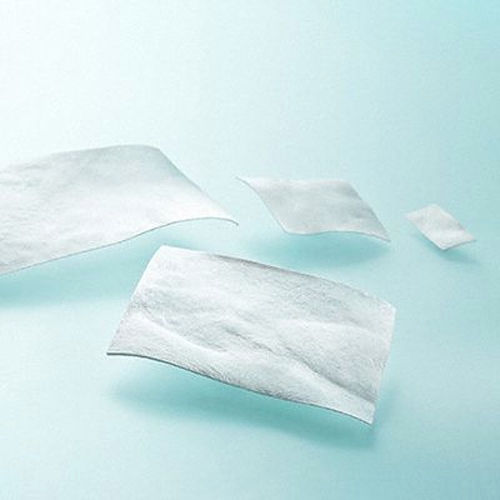 Dura Mater Substitutions-Prothese / xenograft - LYOPLANT&reg; - Aesculap®