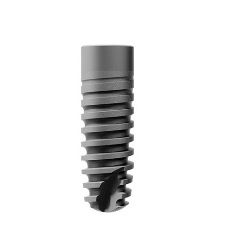 Zylindrisches Zahnimplantat - Ankylos - Dentsply Sirona - Titan / mit Innenverbindung / Schrauben