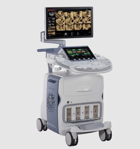 Plattformmontiertes Ultraschallgerät - Voluson™ E8 RSA - GE Healthcare - für Ultraschalldiagnostik in Gynäkologie und Geburtshilfe / Schwarz-Weiß / Farbdoppler