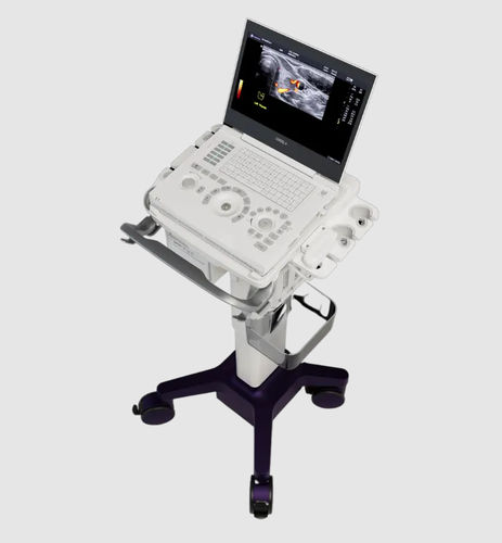 Ultraschallgerät / tragbar, mit Transportwagen - LOGIQ™ e - GE Healthcare - für Ultraschalldiagnostik in der Notfallmedizin / für Ultraschalluntersuchung von Muskeln und Skelett / für Ultraschalldiagnostik in Anästhesie und Intensivmedizin